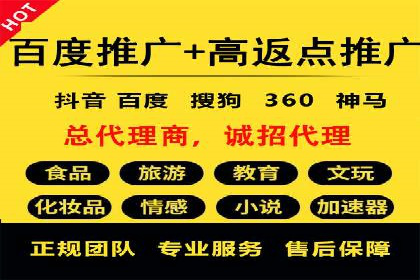 某某sem代运营公司：精准投放的背后策略